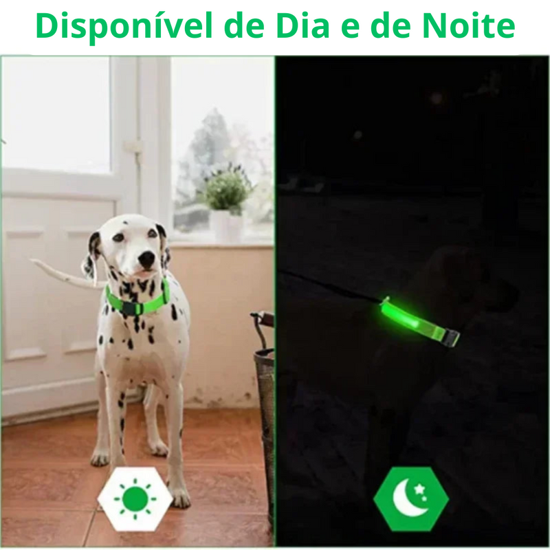 Coleira de Cachorro com LED Luminoso – Ajustável, Piscante, Recarregável, Coleira Brilhante para a Noite, Antiperda