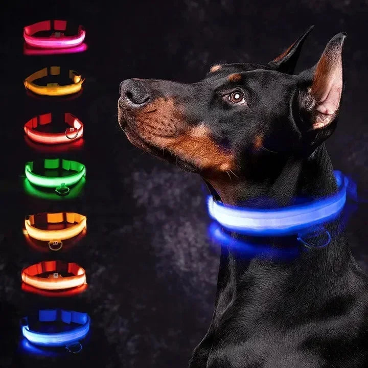 Coleira de Cachorro com LED Luminoso – Ajustável, Piscante, Recarregável, Coleira Brilhante para a Noite, Antiperda