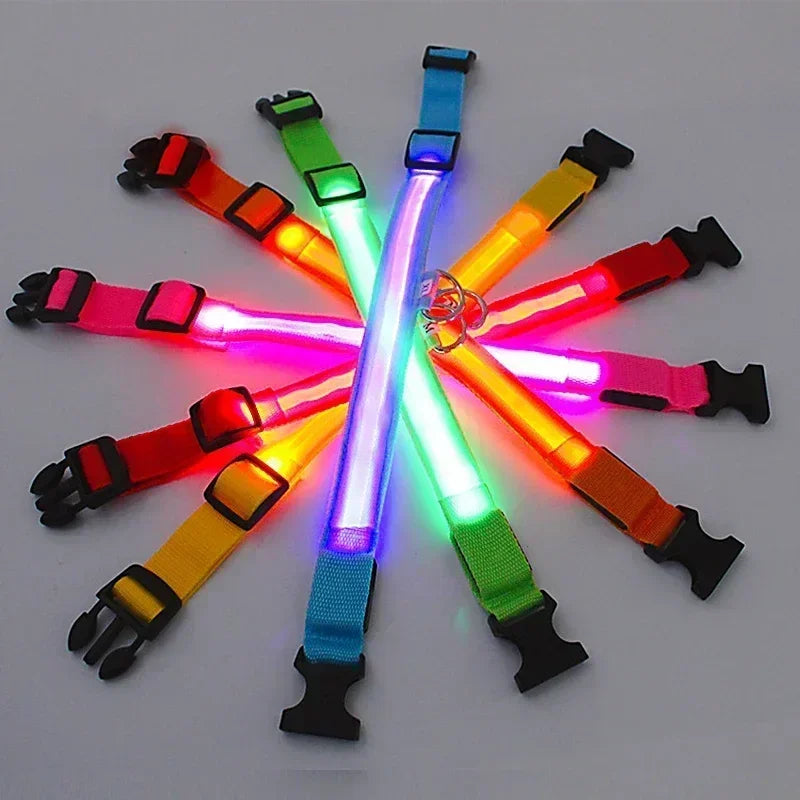 Coleira de Cachorro com LED Luminoso – Ajustável, Piscante, Recarregável, Coleira Brilhante para a Noite, Antiperda