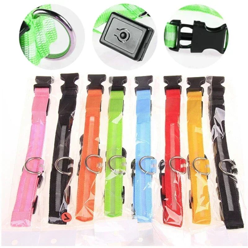 Coleira de Cachorro com LED Luminoso – Ajustável, Piscante, Recarregável, Coleira Brilhante para a Noite, Antiperda