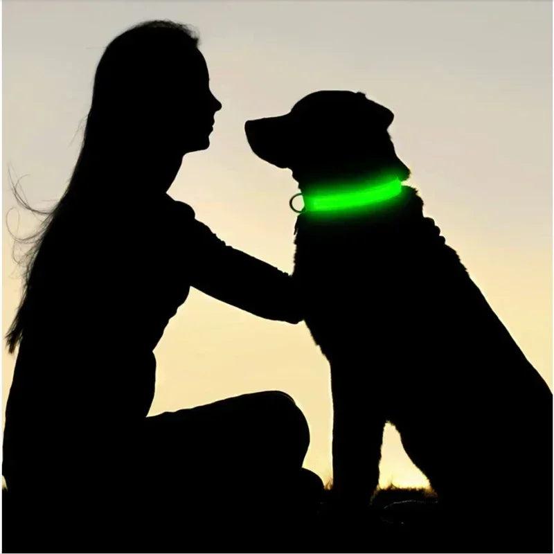 Coleira de Cachorro com LED Luminoso – Ajustável, Piscante, Recarregável, Coleira Brilhante para a Noite, Antiperda
