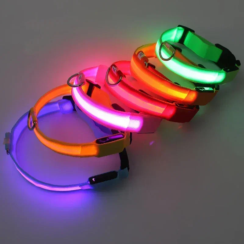 Coleira de Cachorro com LED Luminoso – Ajustável, Piscante, Recarregável, Coleira Brilhante para a Noite, Antiperda