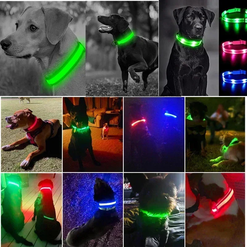 Coleira de Cachorro com LED Luminoso – Ajustável, Piscante, Recarregável, Coleira Brilhante para a Noite, Antiperda