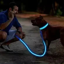 Coleira de Cachorro com LED Luminoso – Ajustável, Piscante, Recarregável, Coleira Brilhante para a Noite, Antiperda