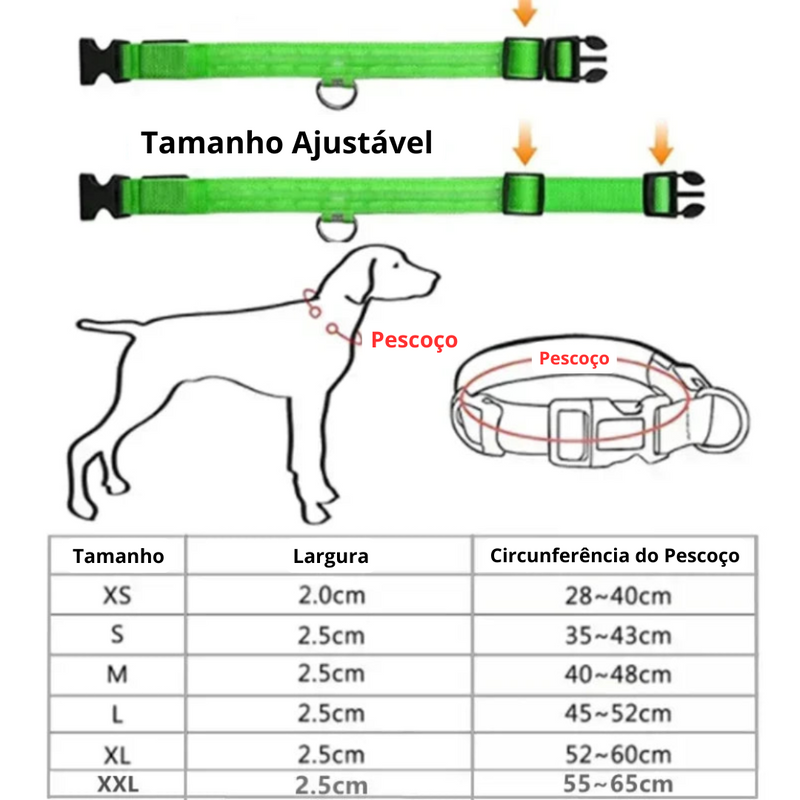 Coleira de Cachorro com LED Luminoso – Ajustável, Piscante, Recarregável, Coleira Brilhante para a Noite, Antiperda