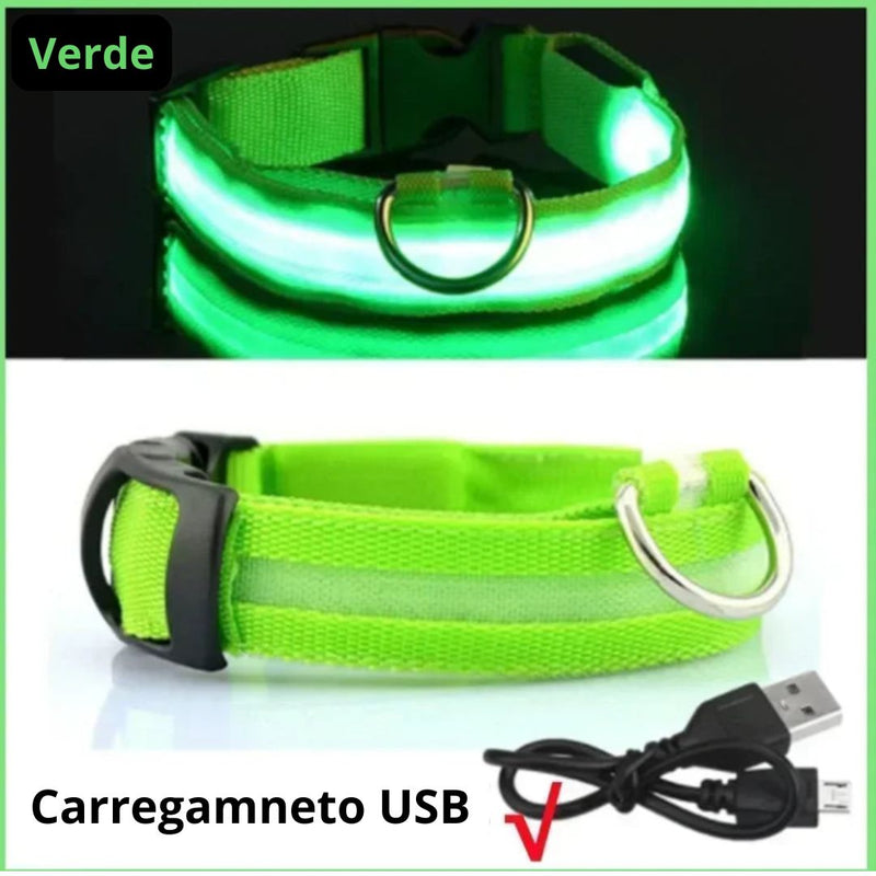 Coleira de Cachorro com LED Luminoso – Ajustável, Piscante, Recarregável, Coleira Brilhante para a Noite, Antiperda