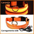 Coleira de Cachorro com LED Luminoso – Ajustável, Piscante, Recarregável, Coleira Brilhante para a Noite, Antiperda