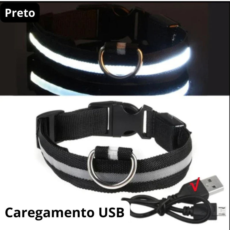 Coleira de Cachorro com LED Luminoso – Ajustável, Piscante, Recarregável, Coleira Brilhante para a Noite, Antiperda