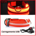 Coleira de Cachorro com LED Luminoso – Ajustável, Piscante, Recarregável, Coleira Brilhante para a Noite, Antiperda