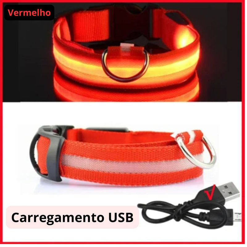 Coleira de Cachorro com LED Luminoso – Ajustável, Piscante, Recarregável, Coleira Brilhante para a Noite, Antiperda