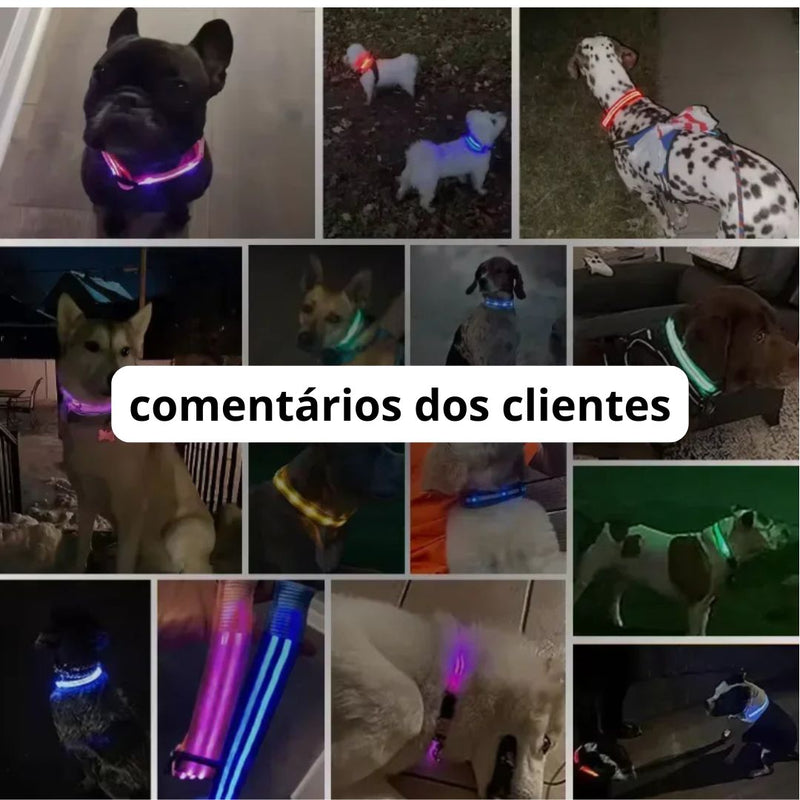 Coleira de Cachorro com LED Luminoso – Ajustável, Piscante, Recarregável, Coleira Brilhante para a Noite, Antiperda