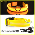 Coleira de Cachorro com LED Luminoso – Ajustável, Piscante, Recarregável, Coleira Brilhante para a Noite, Antiperda