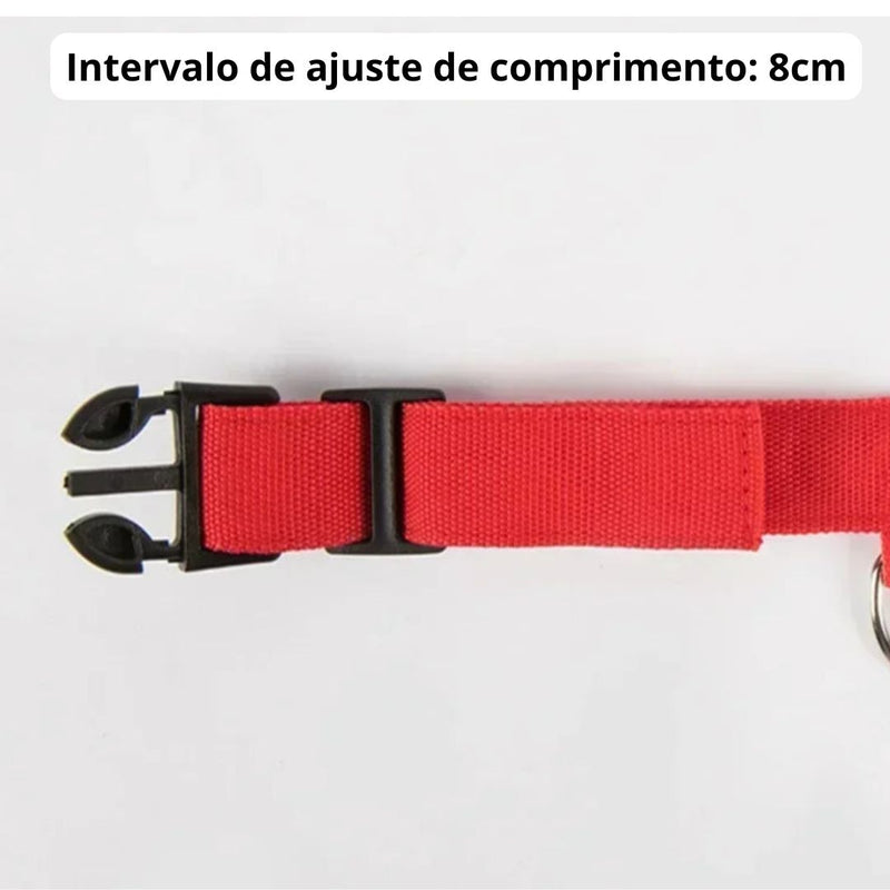 Coleira de Cachorro com LED Luminoso – Ajustável, Piscante, Recarregável, Coleira Brilhante para a Noite, Antiperda